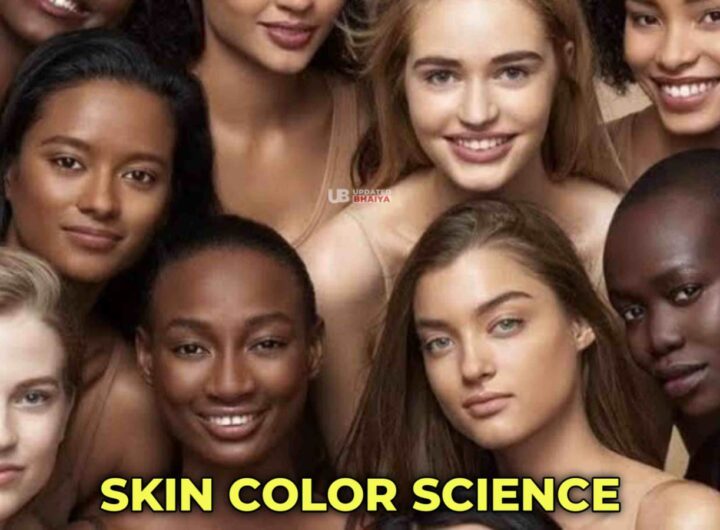 Exploring Skin Color Diversity